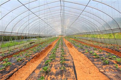 宜昌嘉馥農業開發