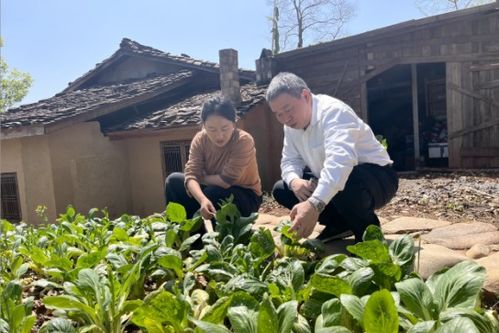 福建省農(nóng)科院攜手鄉(xiāng)愁沈丹共建綠色優(yōu)質(zhì)農(nóng)產(chǎn)品聯(lián)合開發(fā)中心 科技賦能助力綠色產(chǎn)業(yè)發(fā)展