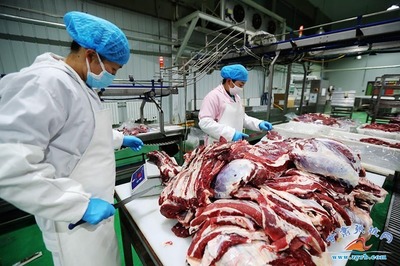 祁連牧歌悠揚(yáng) 張掖一企獲評&ldquo;國家級綠色工廠&rdquo;