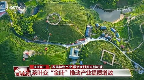 發展特色產業 激活鄉村振興新動能