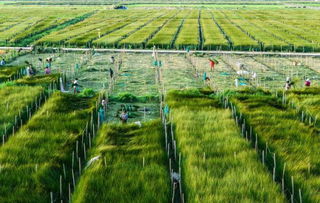 眾裕生態(tài)農業(yè) 健康食品的新希望