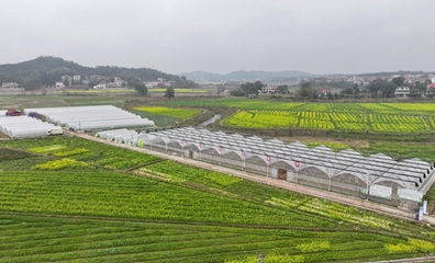 不負春耕好時光 育秧大棚生產忙