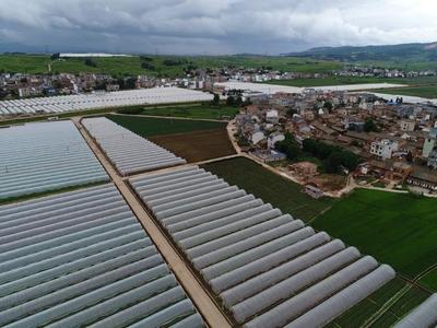 先行示范 亮點紛呈--麒麟?yún)^(qū)統(tǒng)籌推進鄉(xiāng)村振興示范點建設