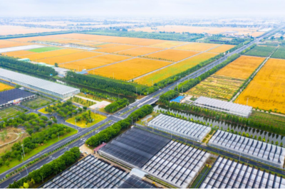 江蘇海安:深耕農(nóng)業(yè)園 在現(xiàn)代農(nóng)業(yè)發(fā)展道路上闊步前進(jìn)