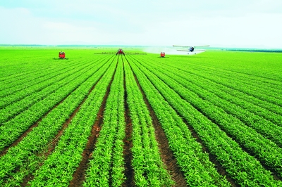 綏化釋放優(yōu)勢(shì)潛力譜寫振興新篇章 綠色發(fā)展產(chǎn)業(yè)勃興