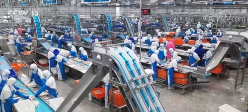 走進縣城看發(fā)展 山東農業(yè)大縣諸城食品產業(yè)總產值超400億元