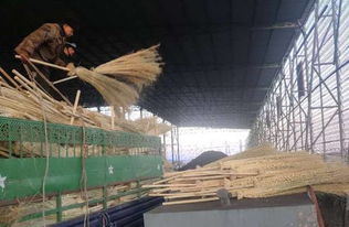 托克遜工業(yè)園區(qū)拓寬衛(wèi)星工廠產品銷售 助力精準脫貧