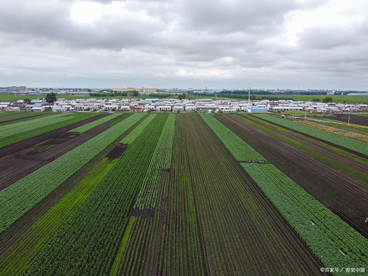 農(nóng)業(yè)工程(農(nóng)業(yè)綜合開發(fā)生態(tài)工程)專業(yè)設(shè)計甲級資質(zhì)公司項目范圍