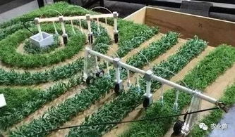 以色列農業發展：農業不只關乎農民，更關乎科技創新與國家戰略