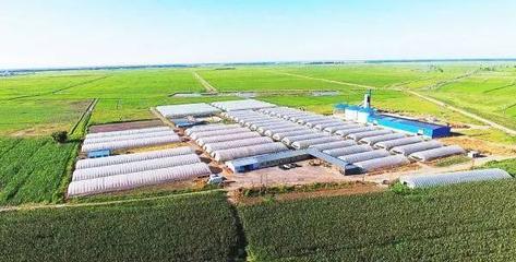 扶余 產(chǎn)業(yè)強、農(nóng)民富，繪就千里沃野新圖景