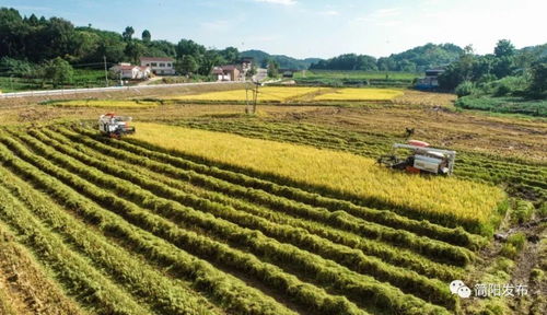 農(nóng)業(yè)強(qiáng) 農(nóng)村美 農(nóng)民富 這樣的鄉(xiāng)村你愛了嗎