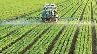 延伸農(nóng)業(yè)產(chǎn)業(yè)鏈促農(nóng)業(yè)增效農(nóng)民增收