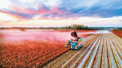 完整準確貫徹新時代黨的治疆方略 以高質量農業開發扎實推進中國式現代化的新疆實踐