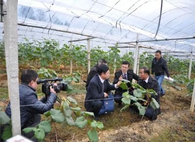 金融活水潤(rùn)沃野 產(chǎn)品創(chuàng)新激活扶貧產(chǎn)業(yè)新動(dòng)能