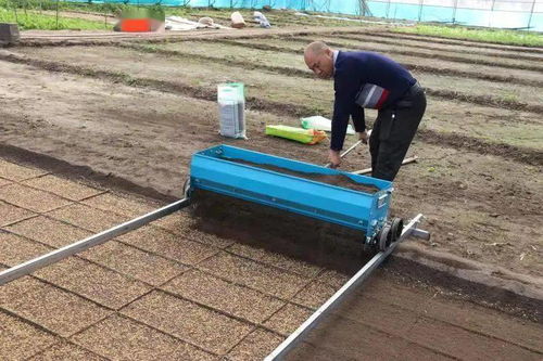 責(zé)任鑄就誠(chéng)信，匠心滋養(yǎng)沃土——記興安盟嶺南香農(nóng)產(chǎn)品開發(fā)有限責(zé)任公司的農(nóng)業(yè)開發(fā)之路